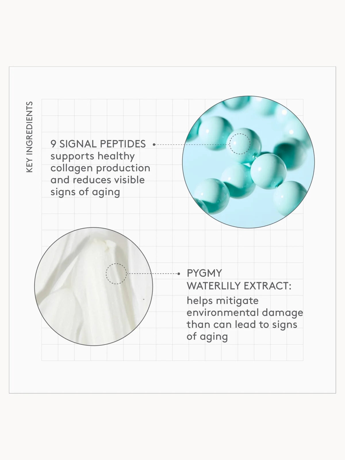 Drunk Elephant Protini Polypeptide Moisturiser (Various Size)