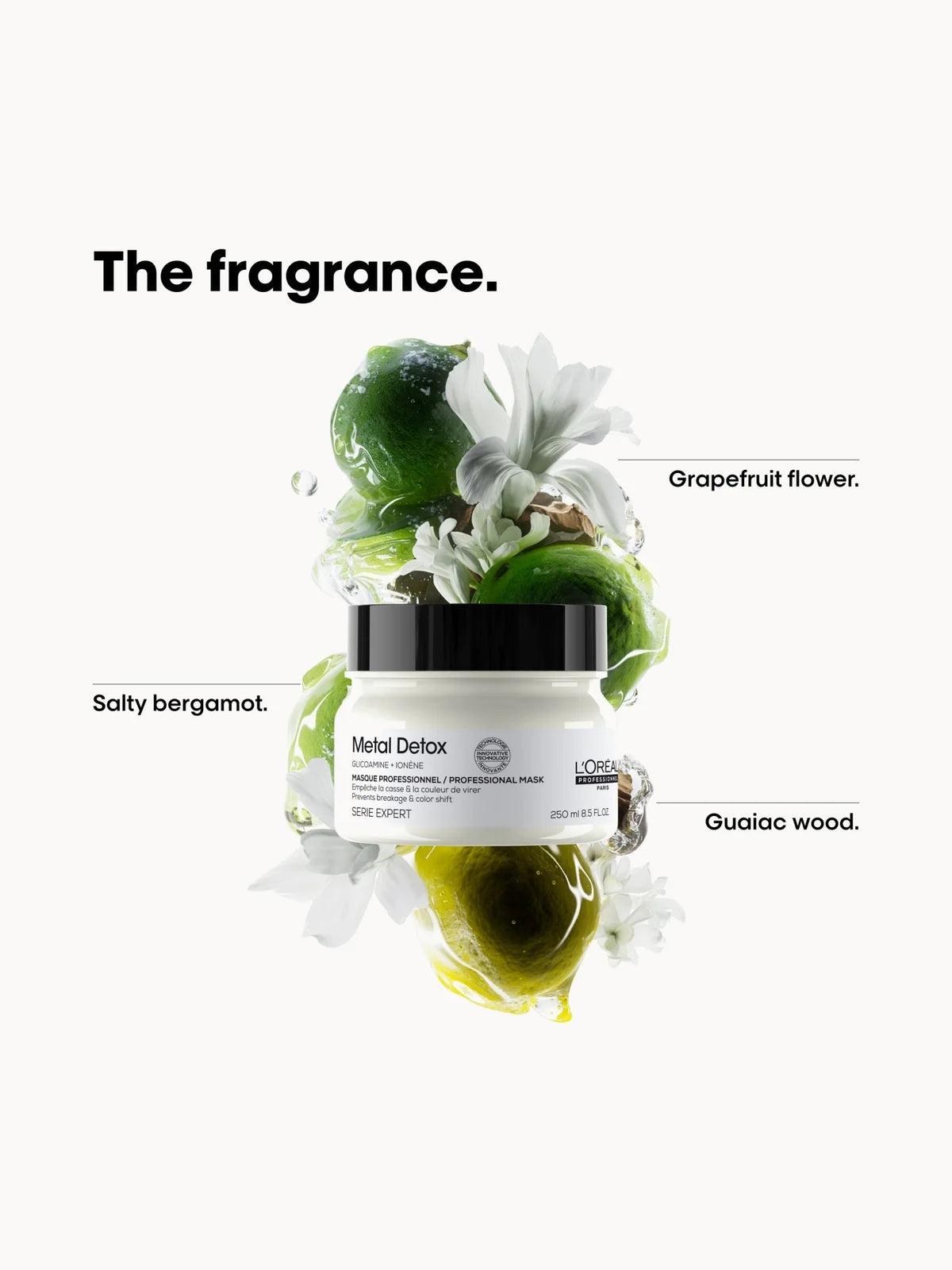 L'Oréal Professionnel Metal Detox Nourishing Hair Mask 250ml for breakage & colour protection against hard water