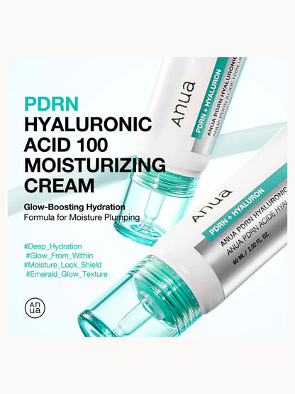 Anua PDRN Hyaluronic Acid 100 Moisturising Cream 60ml